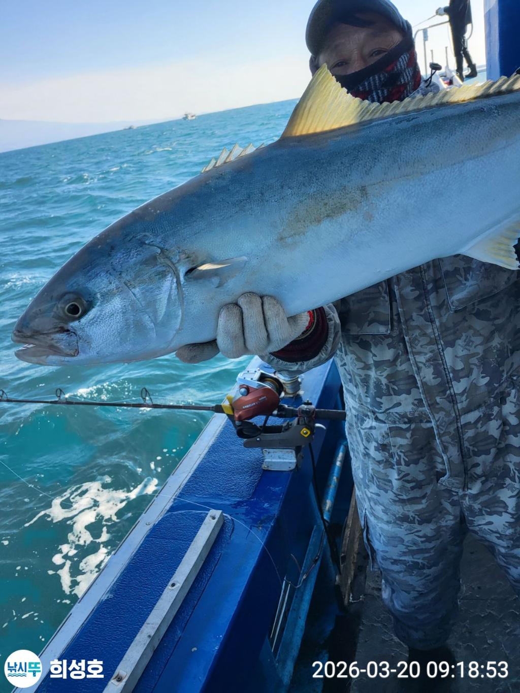 낚시뚜,방어,부시리,모슬포항,희성호,낚시뚜1