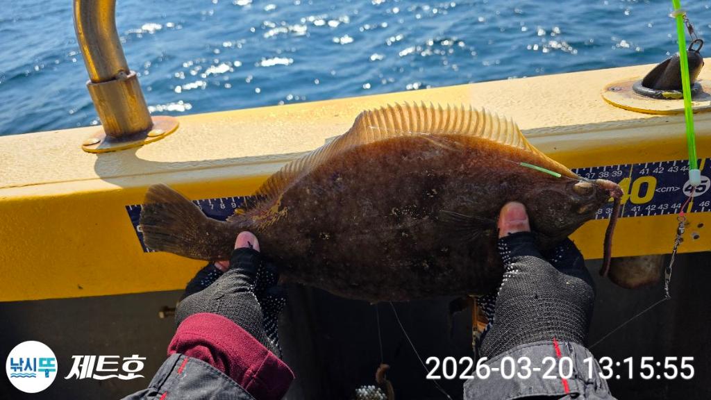 낚시뚜,도다리,가자미,영일만항,포항 제트호,낚시뚜49