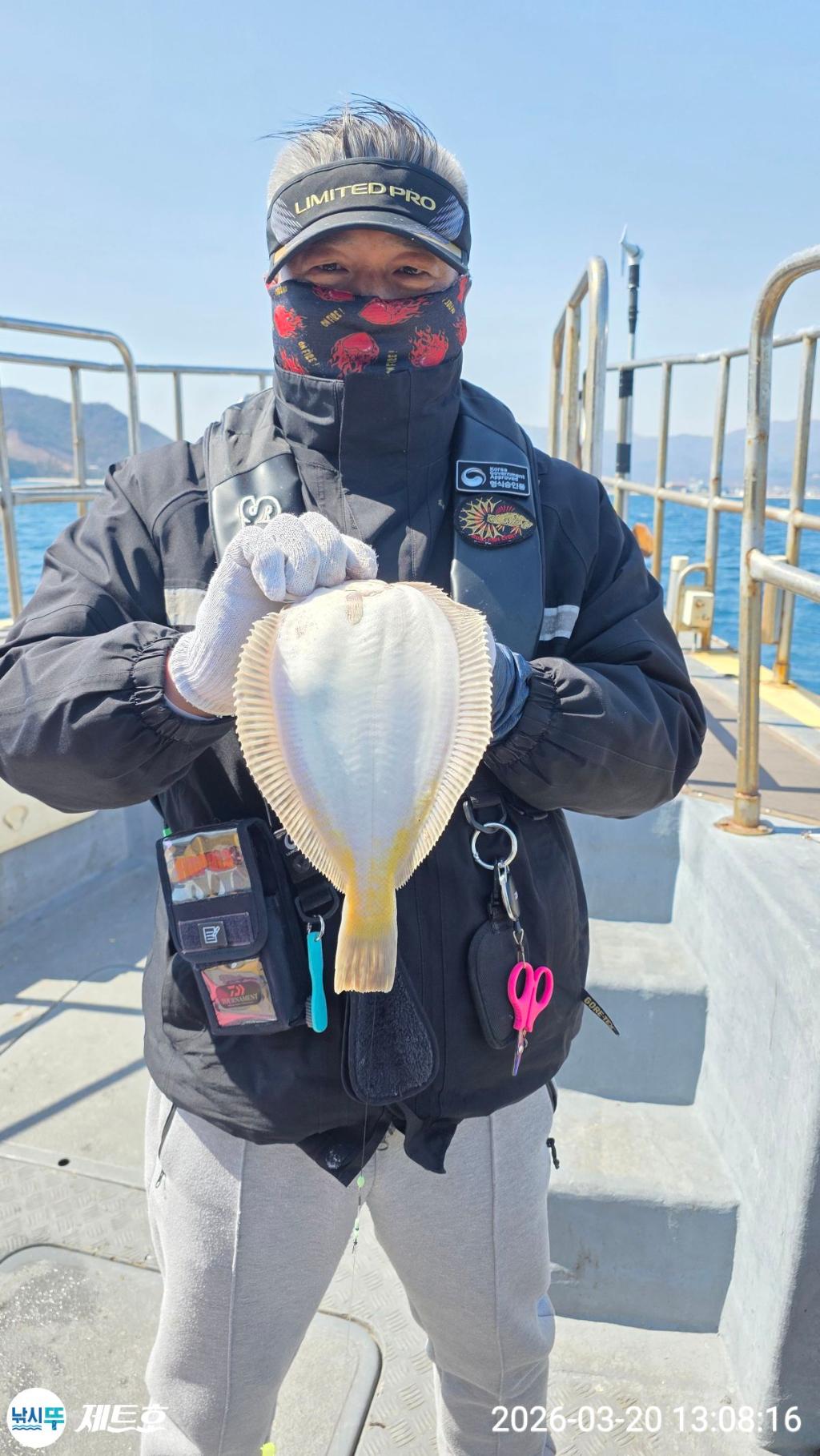 낚시뚜,도다리,가자미,영일만항,포항 제트호,낚시뚜38