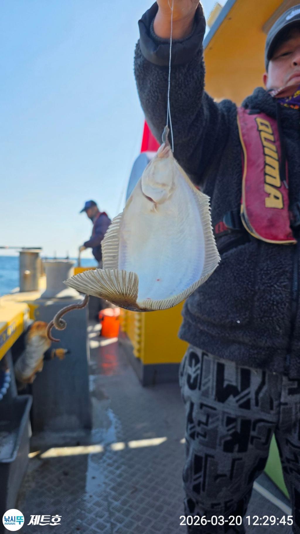 낚시뚜,도다리,가자미,영일만항,포항 제트호,낚시뚜36