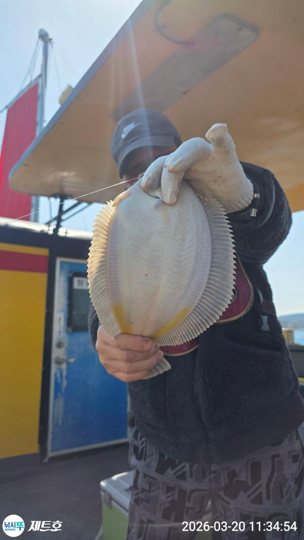 낚시뚜,도다리,가자미,영일만항,포항 제트호,낚시뚜28