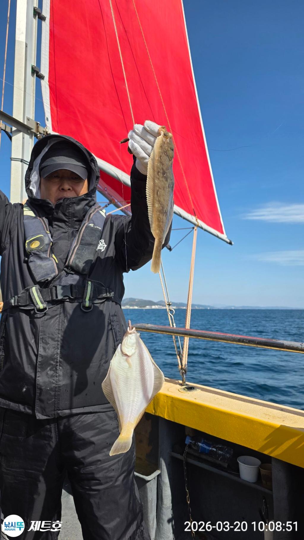 낚시뚜,도다리,가자미,영일만항,포항 제트호,낚시뚜14