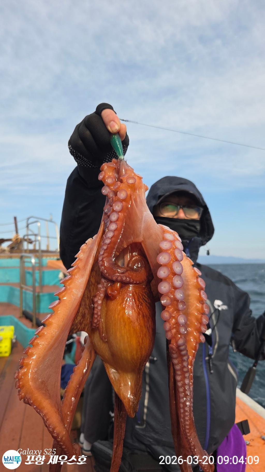 낚시뚜,쭈꾸미,영일만항,포항 제우스호,낚시뚜23