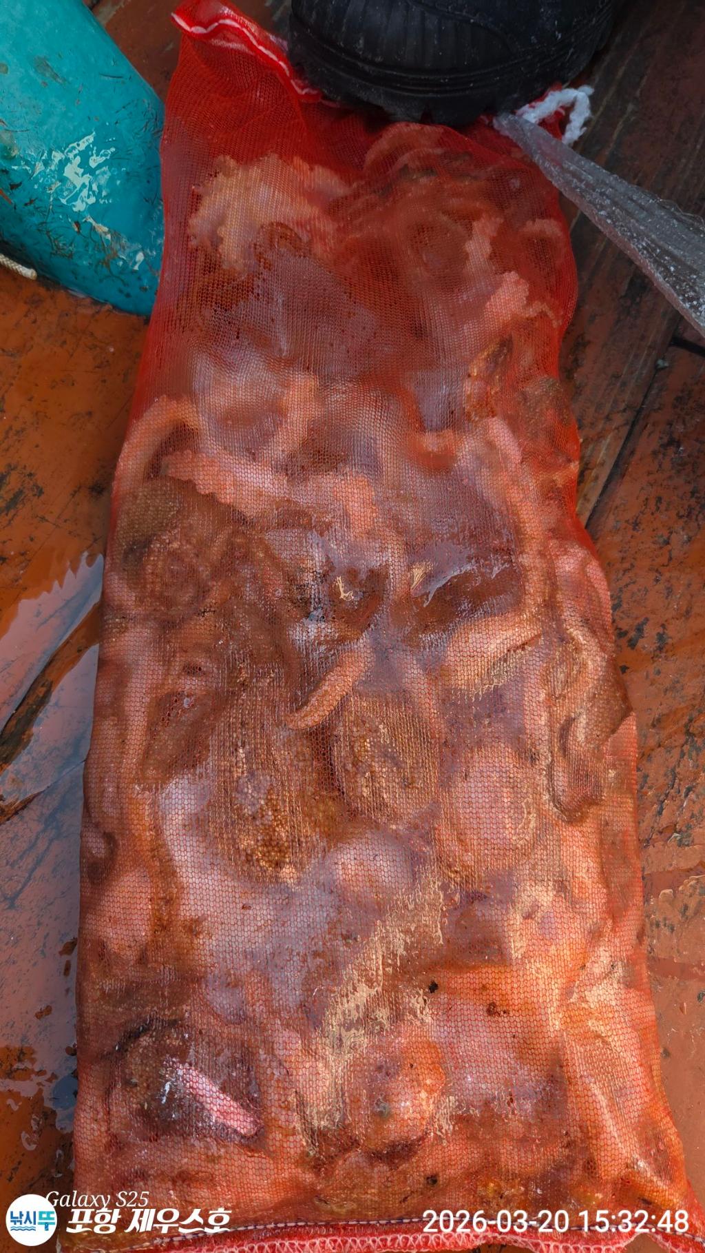 낚시뚜,쭈꾸미,영일만항,포항 제우스호,낚시뚜0