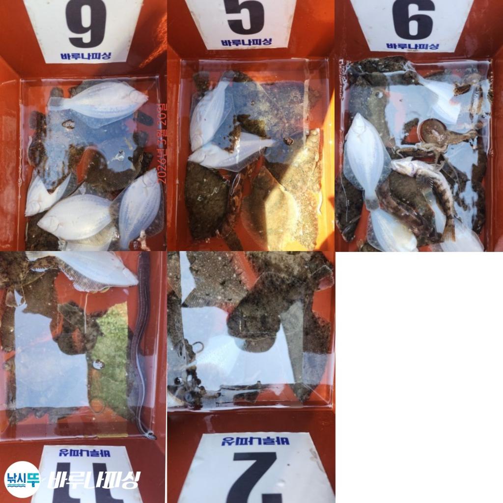 낚시뚜,도다리,속천항(진해),바루나피싱,낚시뚜6