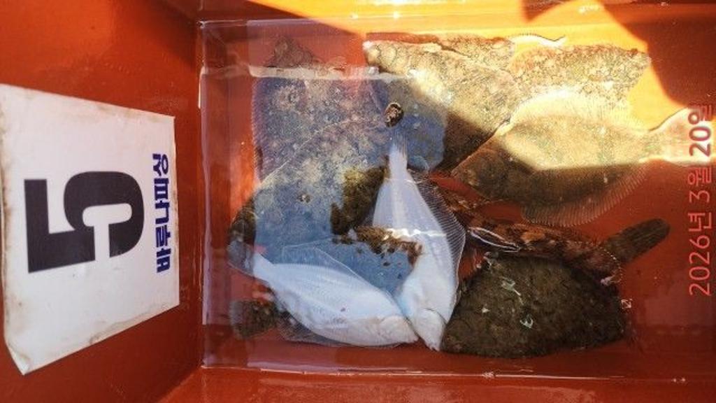 낚시뚜,도다리,속천항(진해),바루나피싱,낚시뚜4