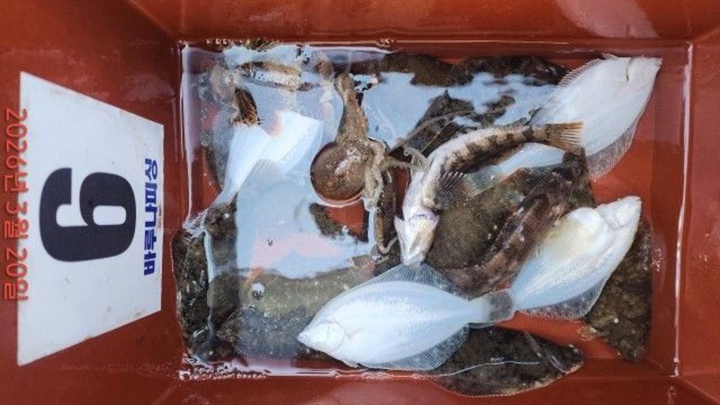 낚시뚜,도다리,속천항(진해),바루나피싱,낚시뚜3