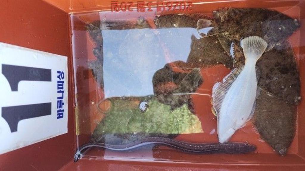 낚시뚜,도다리,속천항(진해),바루나피싱,낚시뚜2