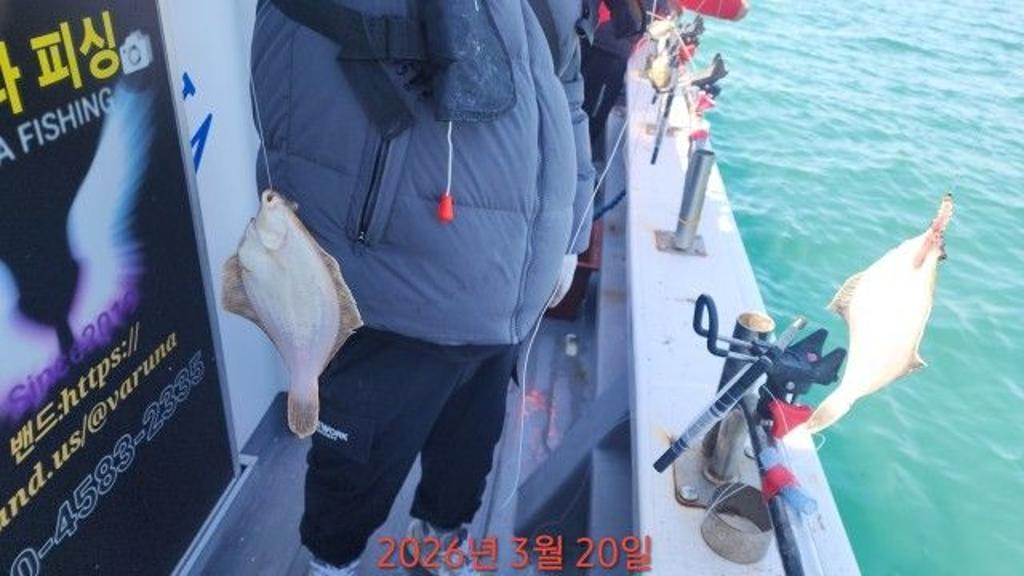 낚시뚜,도다리,속천항(진해),바루나피싱,낚시뚜0