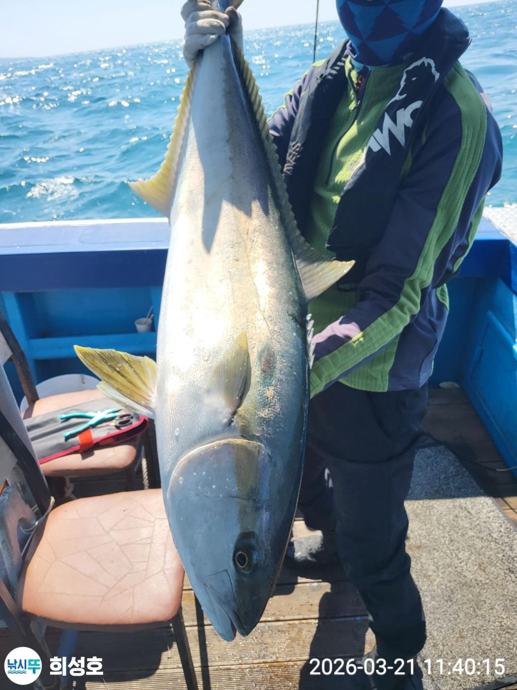 낚시뚜,방어,부시리,모슬포항,희성호,낚시뚜8