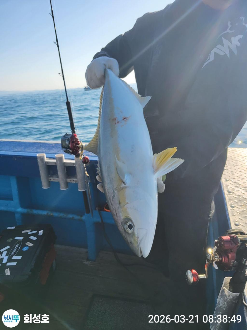 낚시뚜,방어,부시리,모슬포항,희성호,낚시뚜4