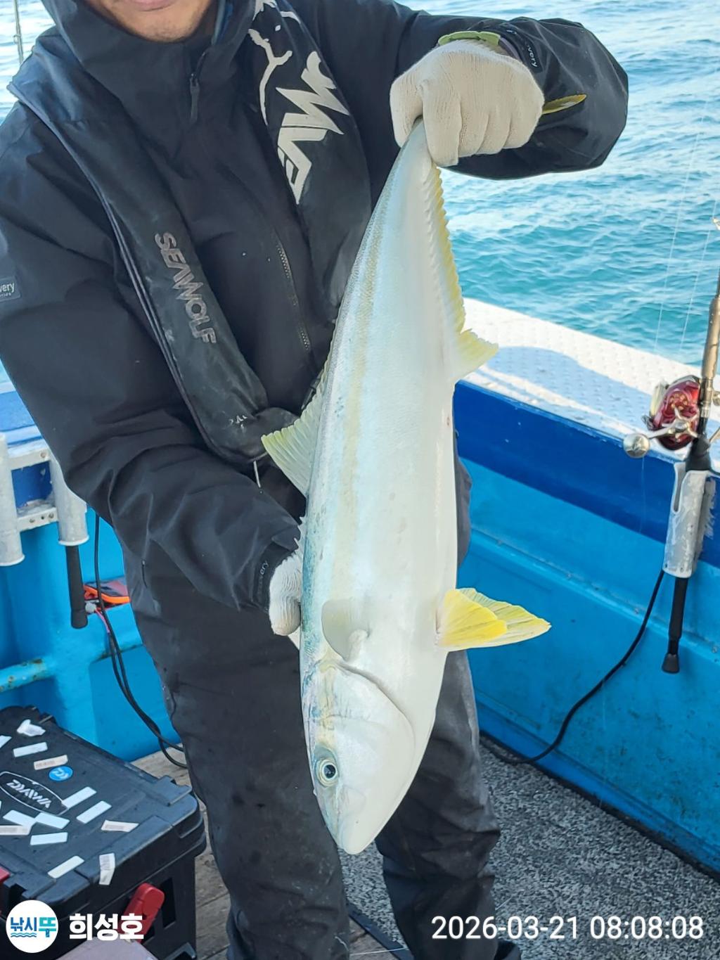 낚시뚜,방어,부시리,모슬포항,희성호,낚시뚜1