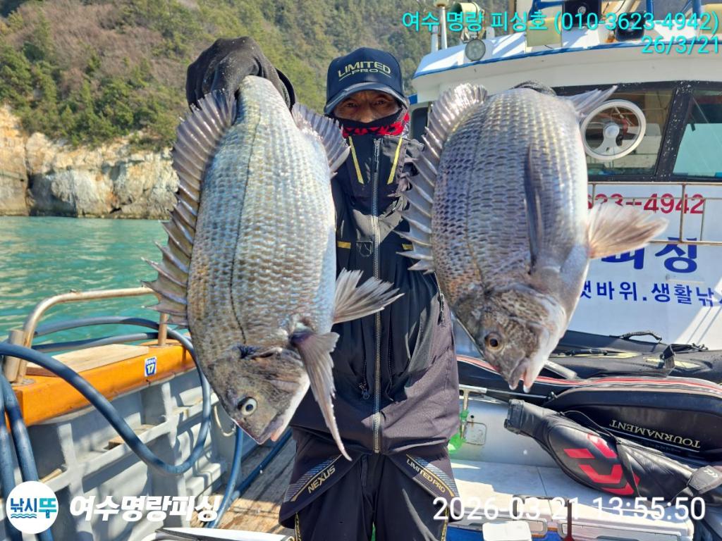 낚시뚜,감성돔,국동항,여수명랑피싱,낚시뚜6