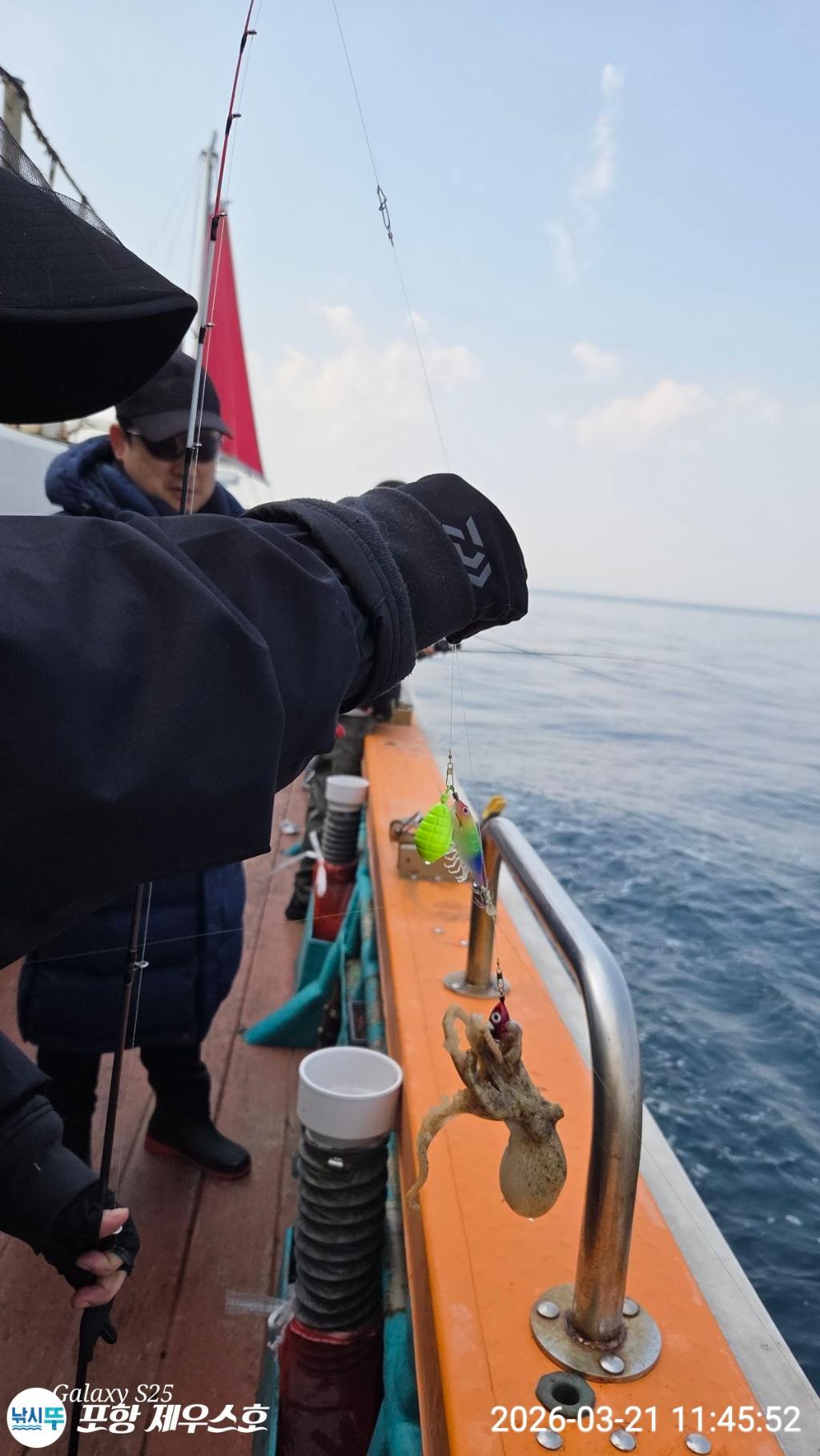 낚시뚜,쭈꾸미,영일만항,포항 제우스호,낚시뚜12