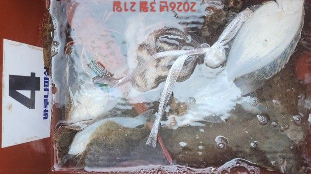 낚시뚜,도다리,속천항(진해),바루나피싱,낚시뚜2