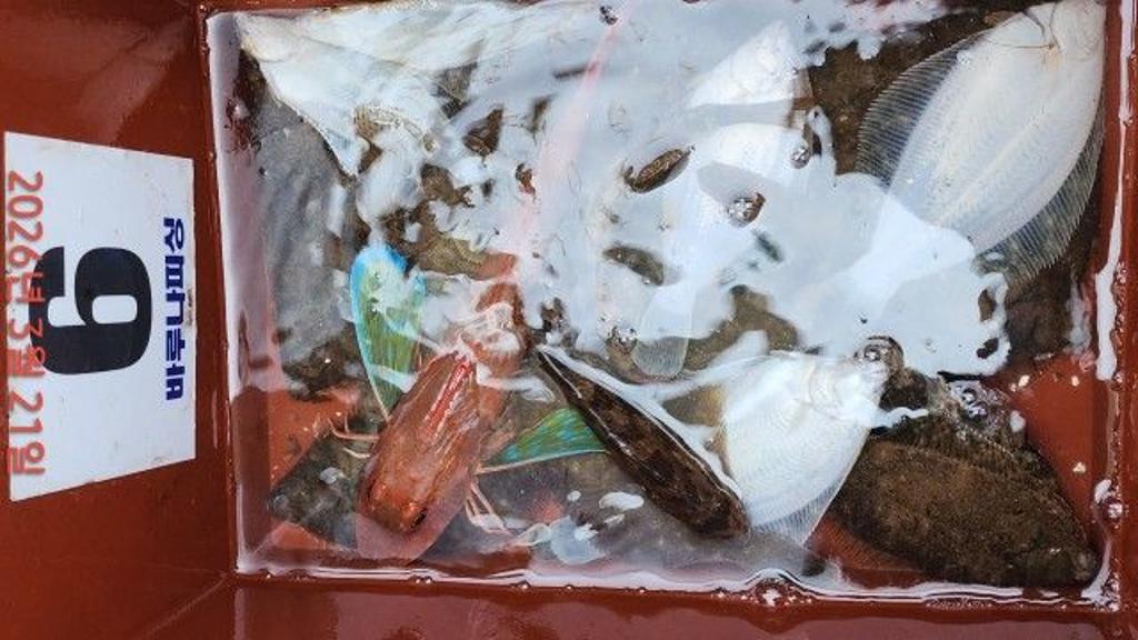 낚시뚜,도다리,속천항(진해),바루나피싱,낚시뚜1