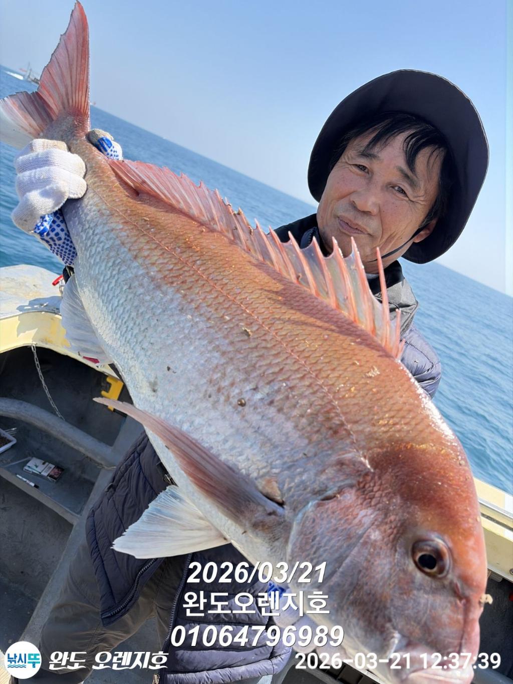 낚시뚜,참돔,완도항,완도 오렌지호,낚시뚜11