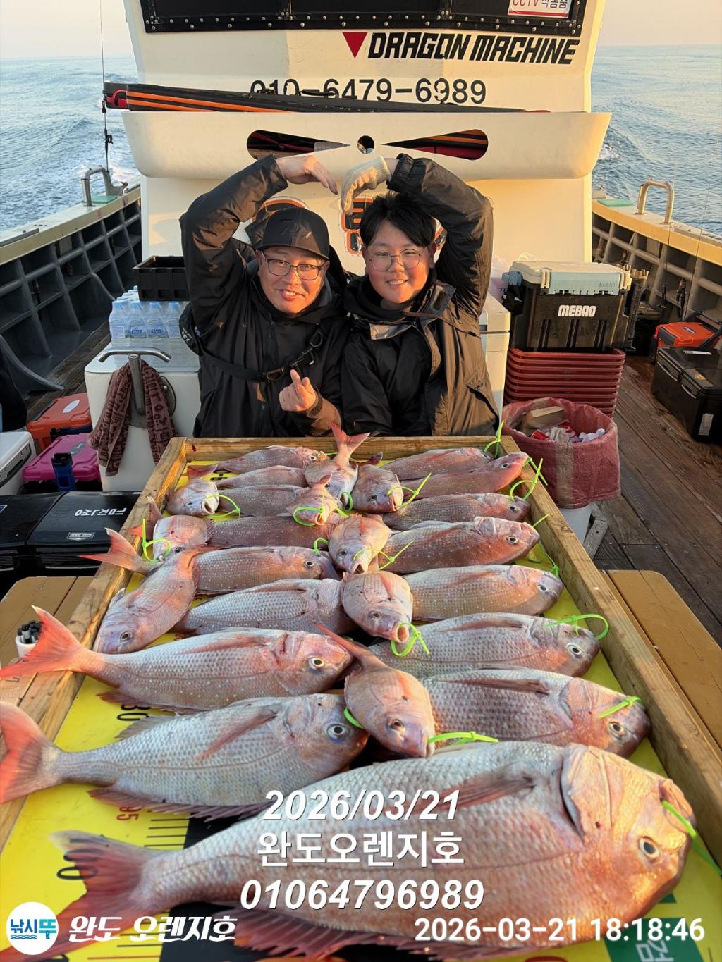 낚시뚜,참돔,완도항,완도 오렌지호,낚시뚜2
