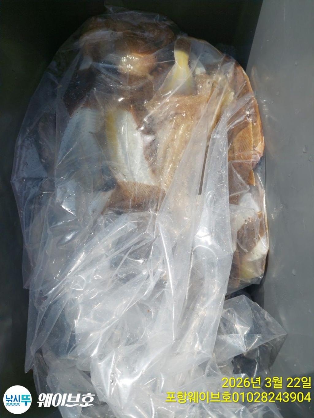 낚시뚜,도다리,가자미,구룡포항,뉴웨이브호,낚시뚜16