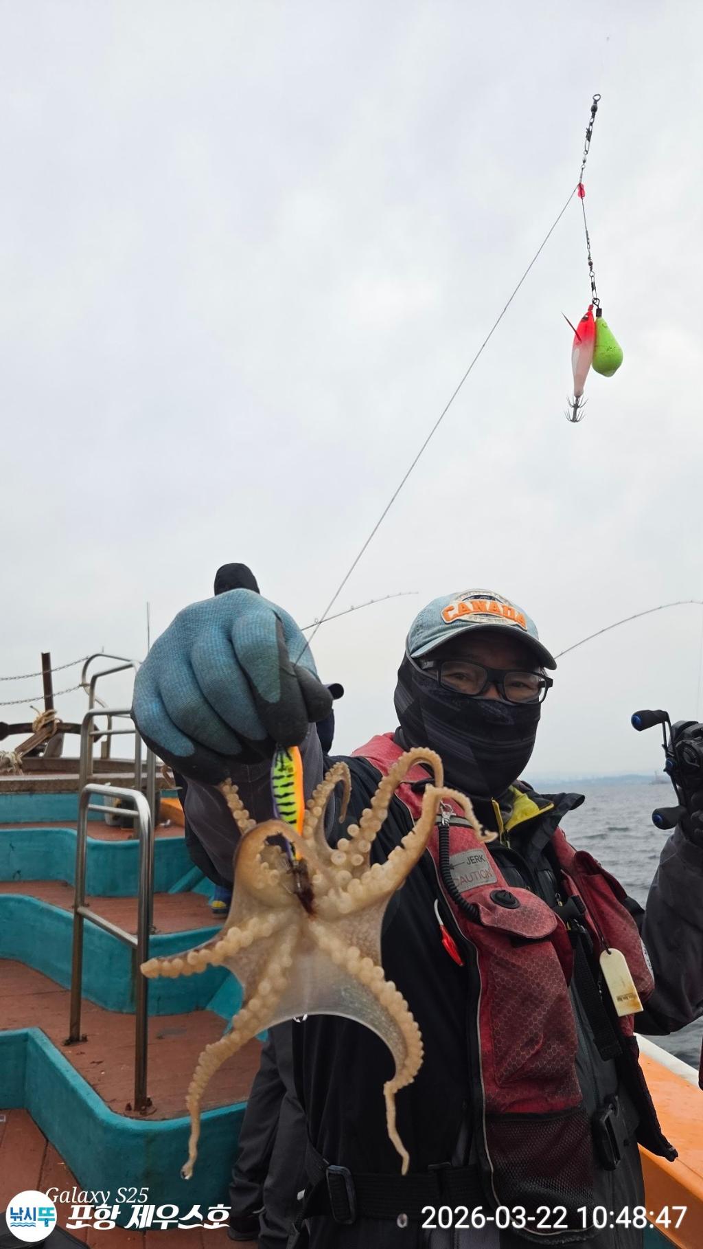 낚시뚜,쭈꾸미,영일만항,포항 제우스호,낚시뚜15