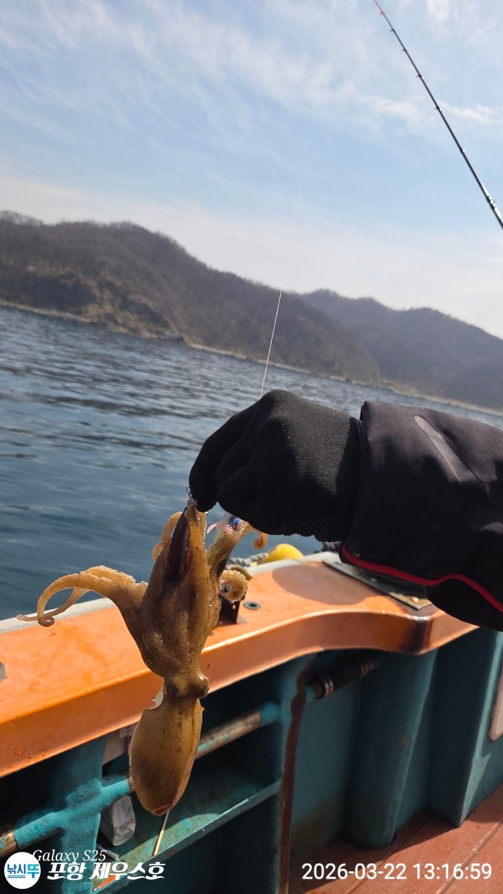 낚시뚜,쭈꾸미,영일만항,포항 제우스호,낚시뚜14