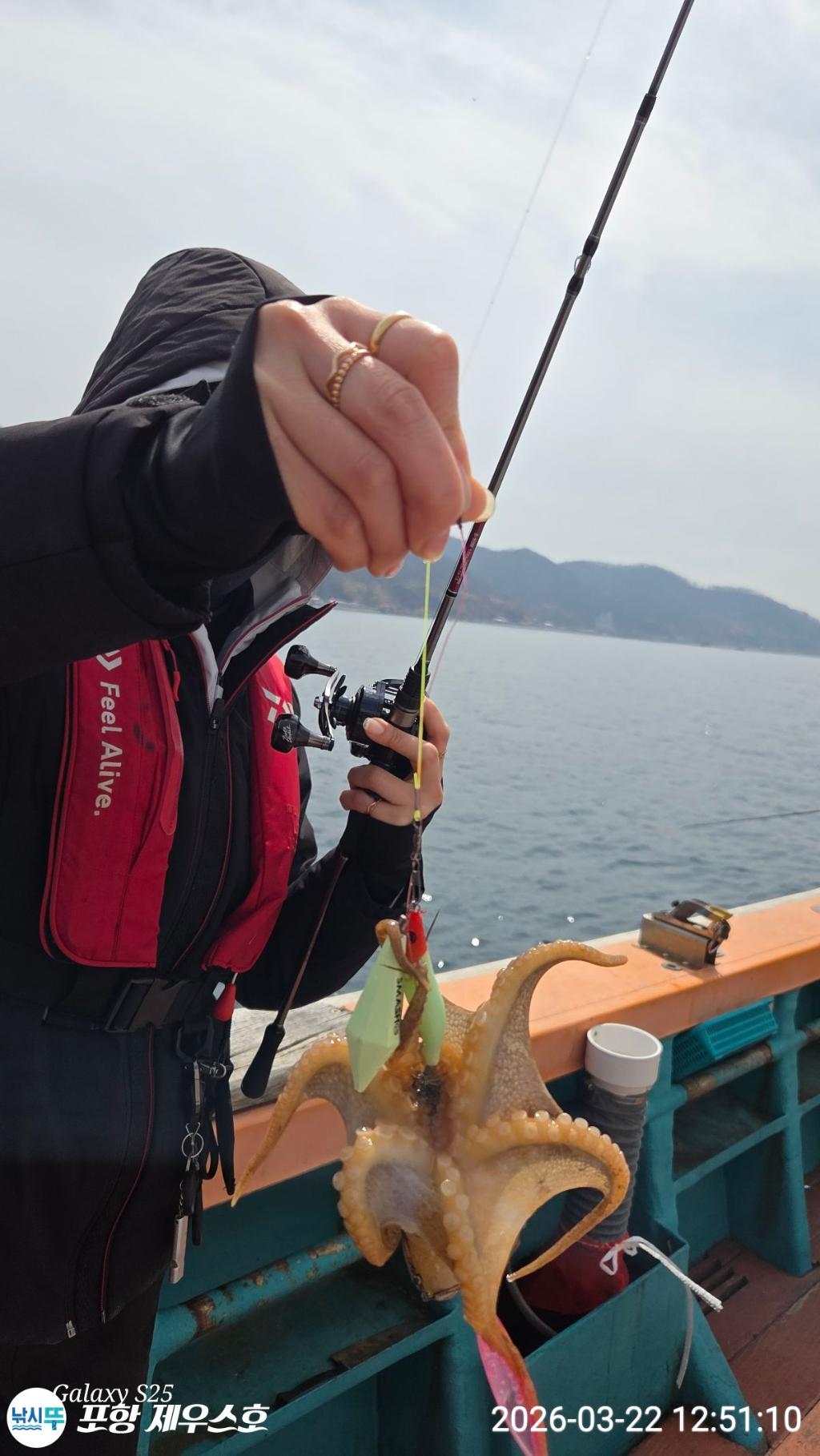낚시뚜,쭈꾸미,영일만항,포항 제우스호,낚시뚜13