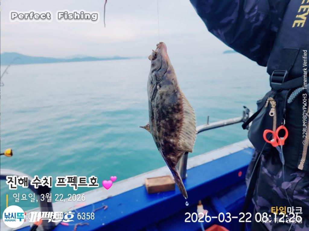 낚시뚜,도다리,진해 수치마을 방파제,퍼펙트호,낚시뚜17