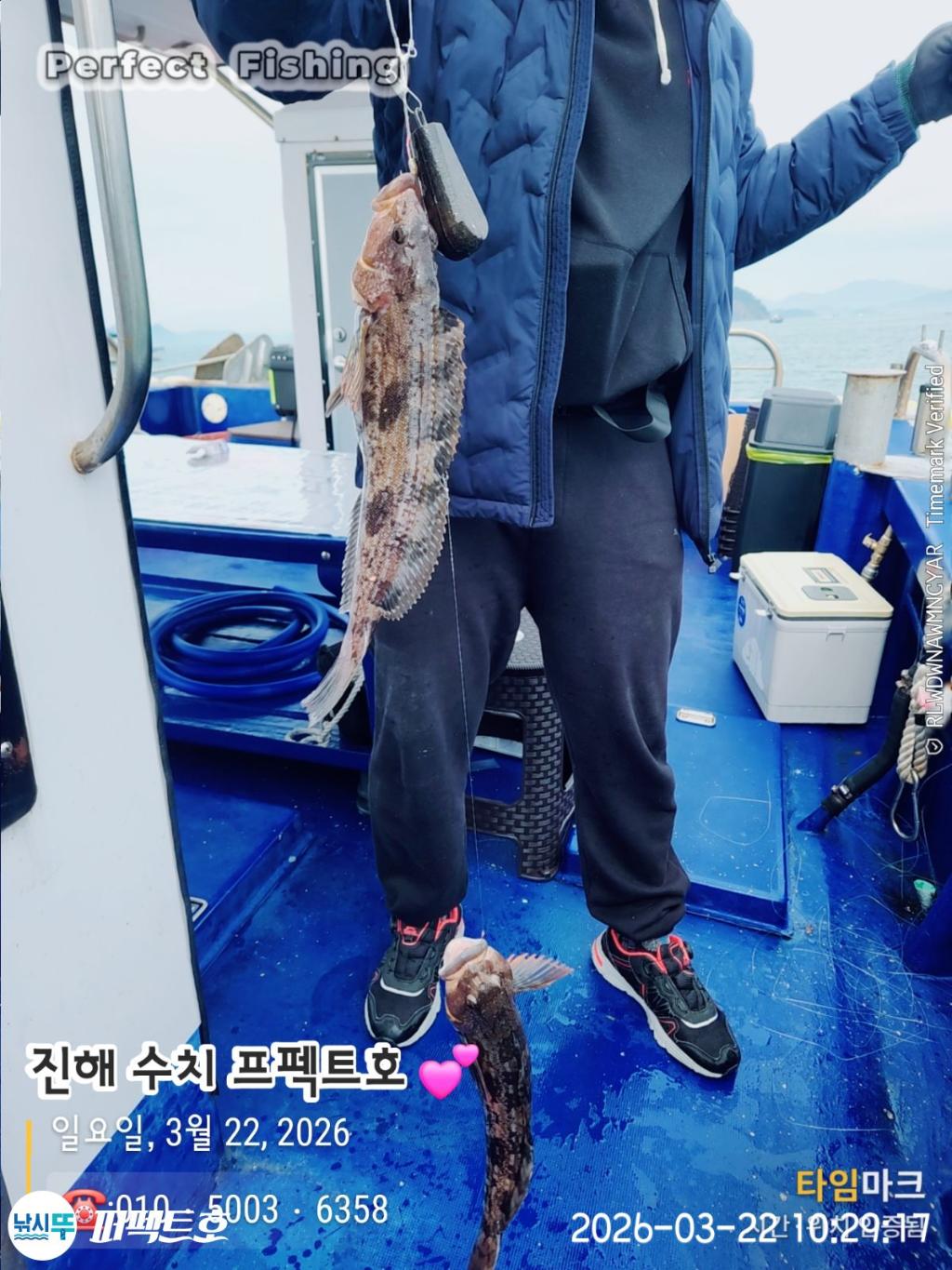 낚시뚜,도다리,진해 수치마을 방파제,퍼펙트호,낚시뚜14
