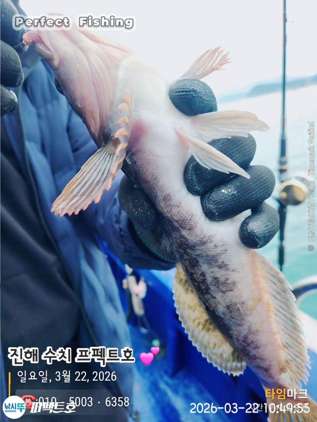 낚시뚜,도다리,진해 수치마을 방파제,퍼펙트호,낚시뚜8