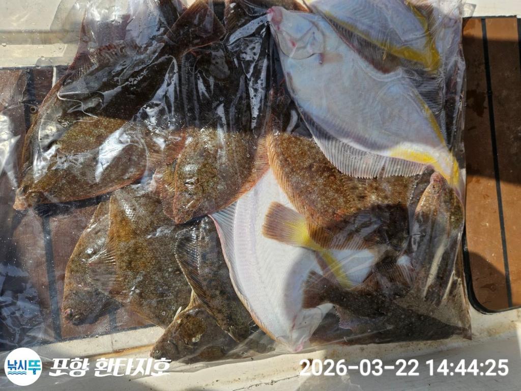 낚시뚜,볼락,도다리,포항 동빈항,포항 환타지호,낚시뚜0