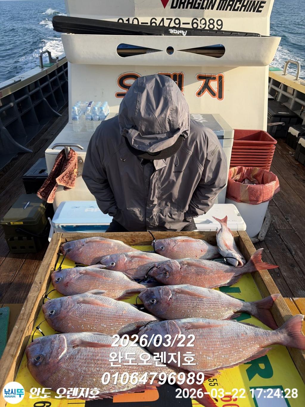 낚시뚜,참돔,완도항,완도 오렌지호,낚시뚜17