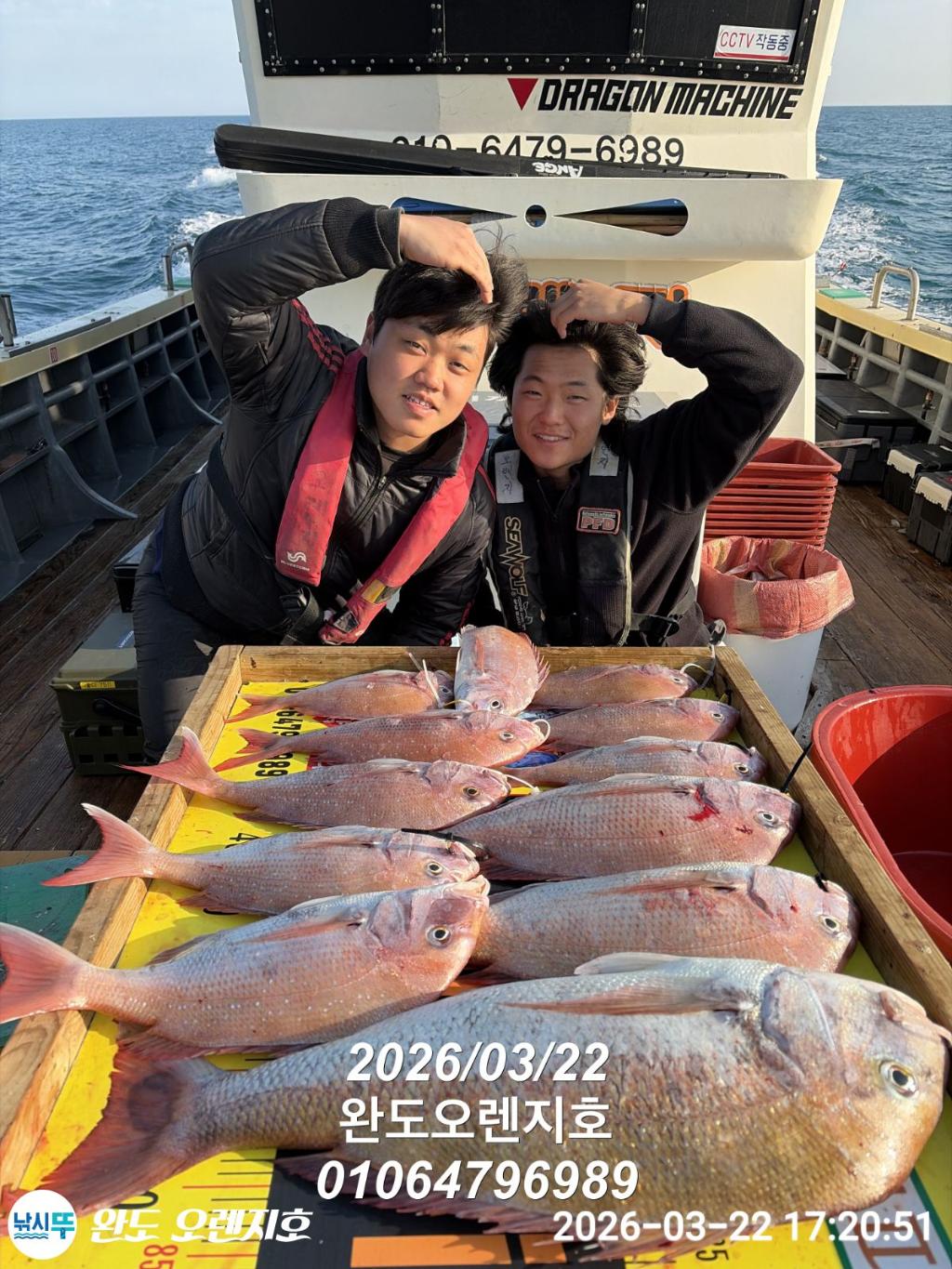 낚시뚜,참돔,완도항,완도 오렌지호,낚시뚜16
