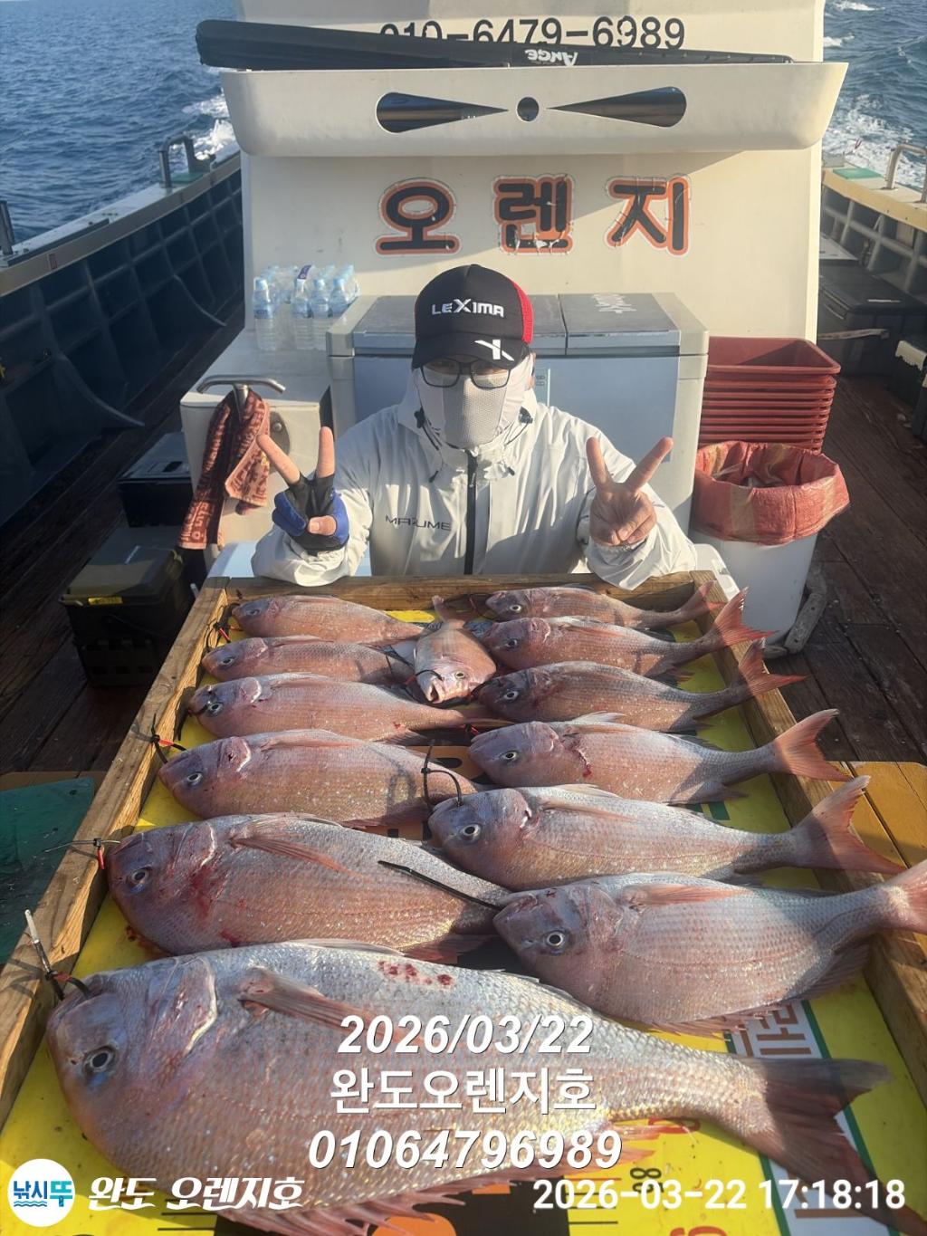 낚시뚜,참돔,완도항,완도 오렌지호,낚시뚜15