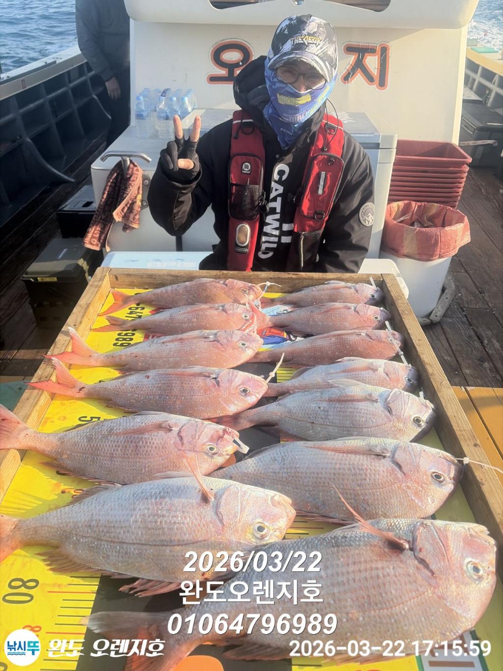 낚시뚜,참돔,완도항,완도 오렌지호,낚시뚜14