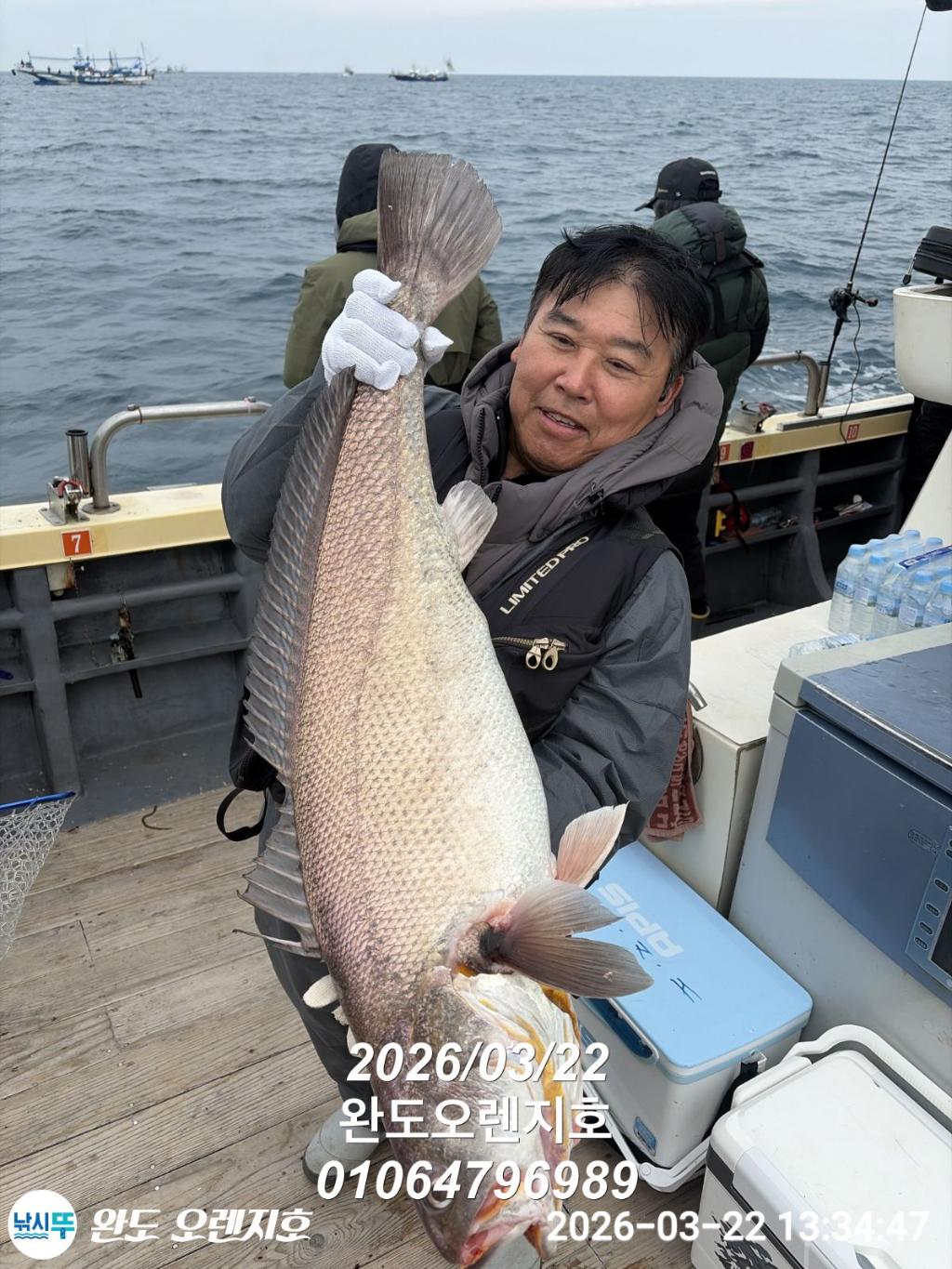 낚시뚜,참돔,완도항,완도 오렌지호,낚시뚜6