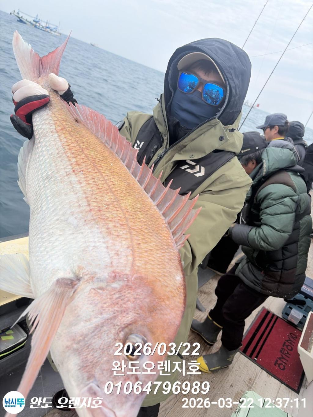 낚시뚜,참돔,완도항,완도 오렌지호,낚시뚜4