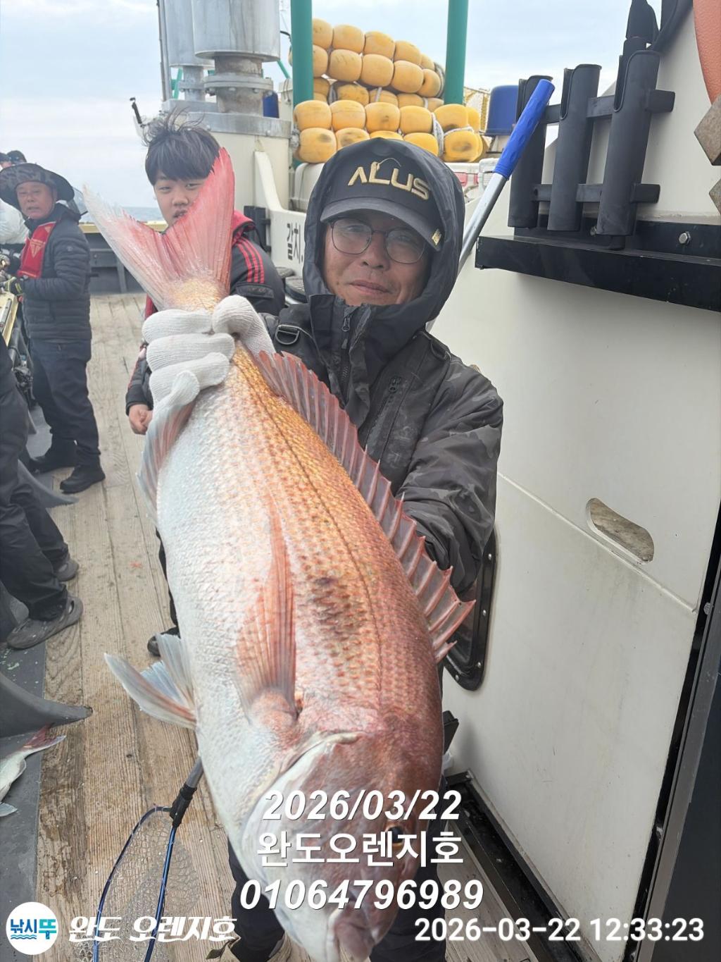 낚시뚜,참돔,완도항,완도 오렌지호,낚시뚜3