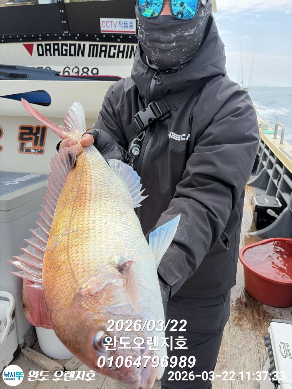 낚시뚜,참돔,완도항,완도 오렌지호,낚시뚜0