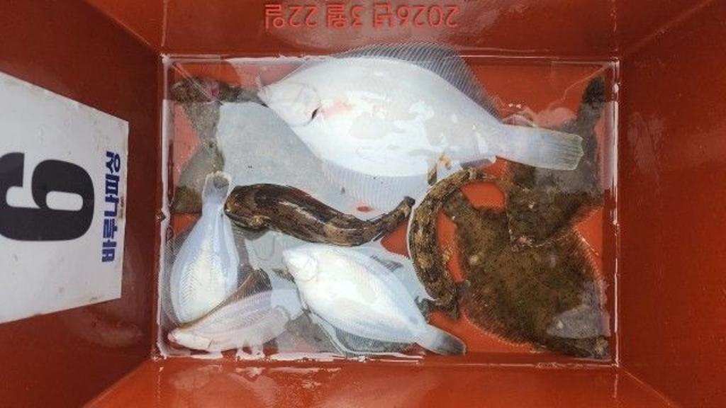 낚시뚜,도다리,속천항(진해),바루나피싱,낚시뚜7