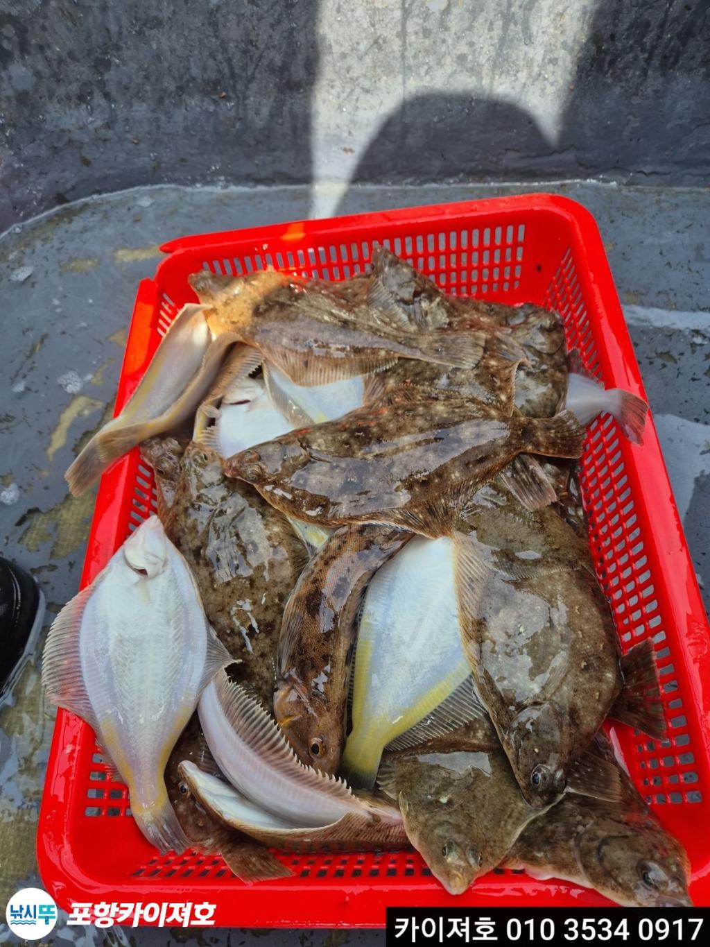 낚시뚜,기타 (직접입력),영일만항,포항카이져호,낚시뚜37