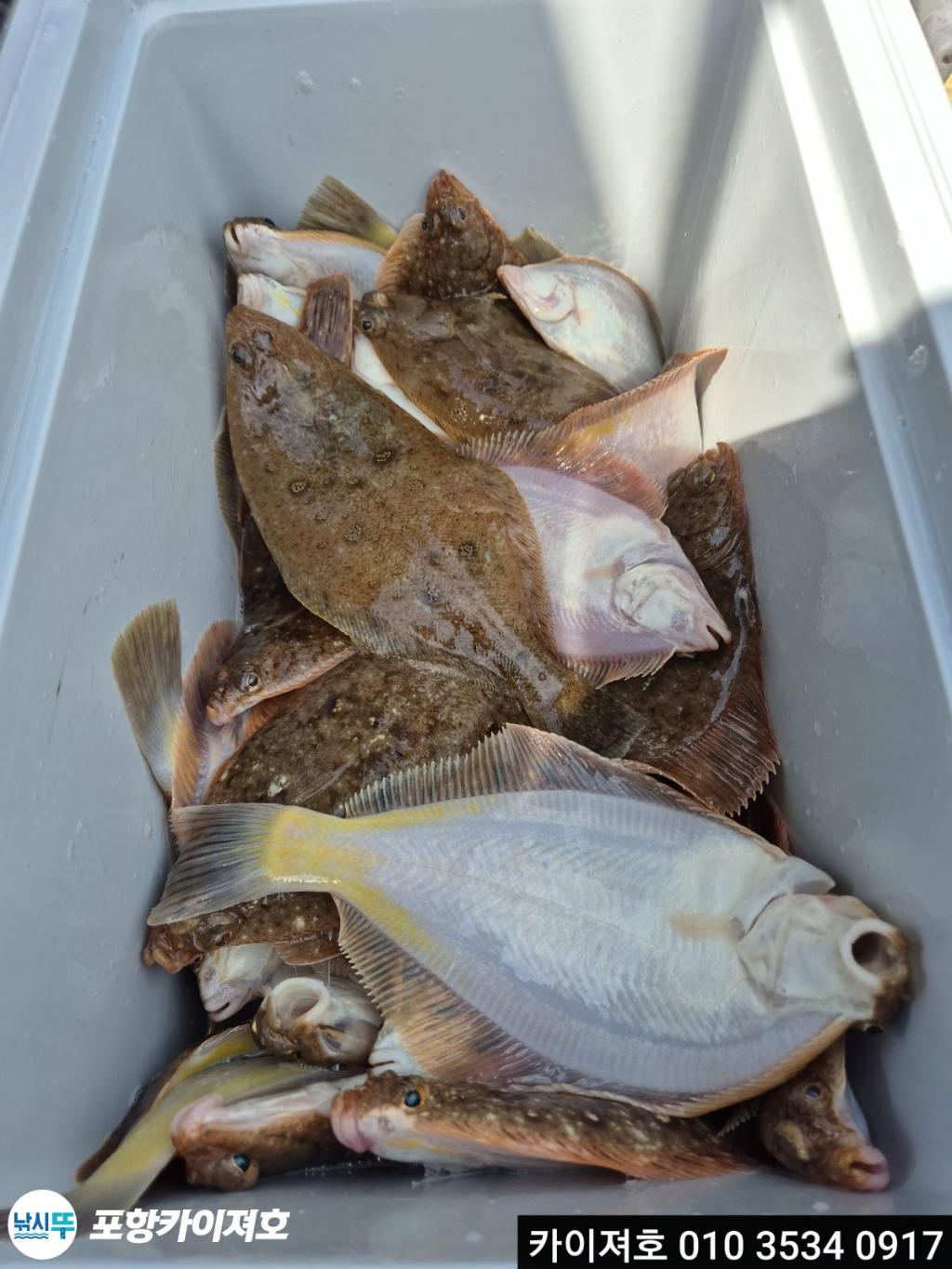 낚시뚜,기타 (직접입력),영일만항,포항카이져호,낚시뚜30