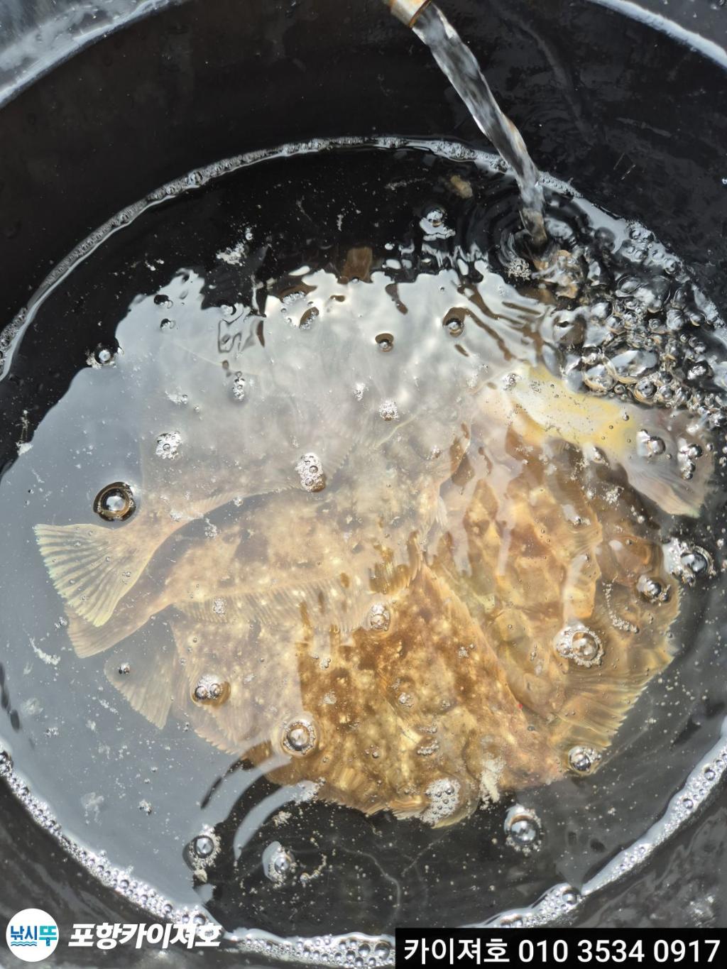 낚시뚜,기타 (직접입력),영일만항,포항카이져호,낚시뚜28