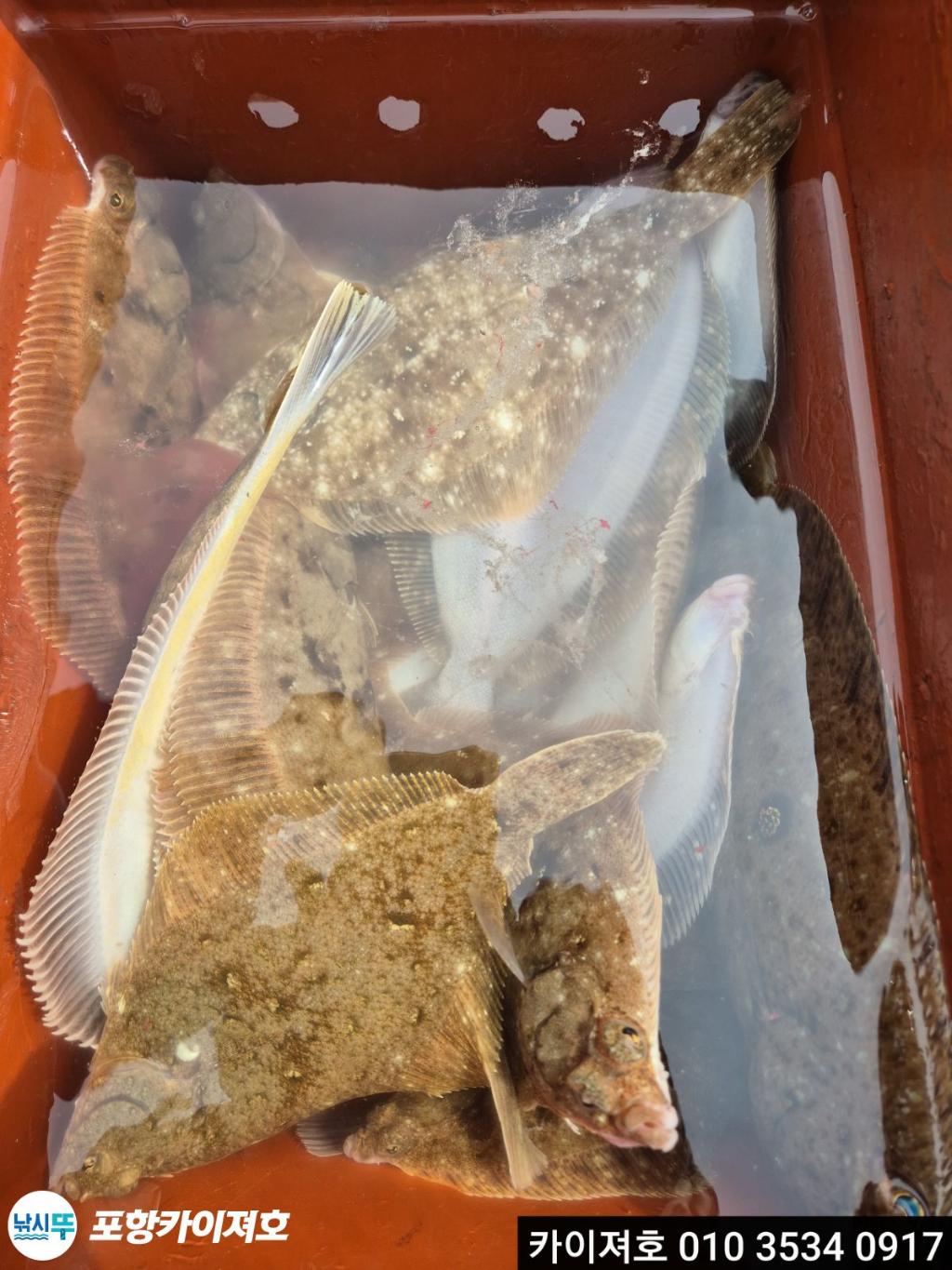 낚시뚜,기타 (직접입력),영일만항,포항카이져호,낚시뚜24