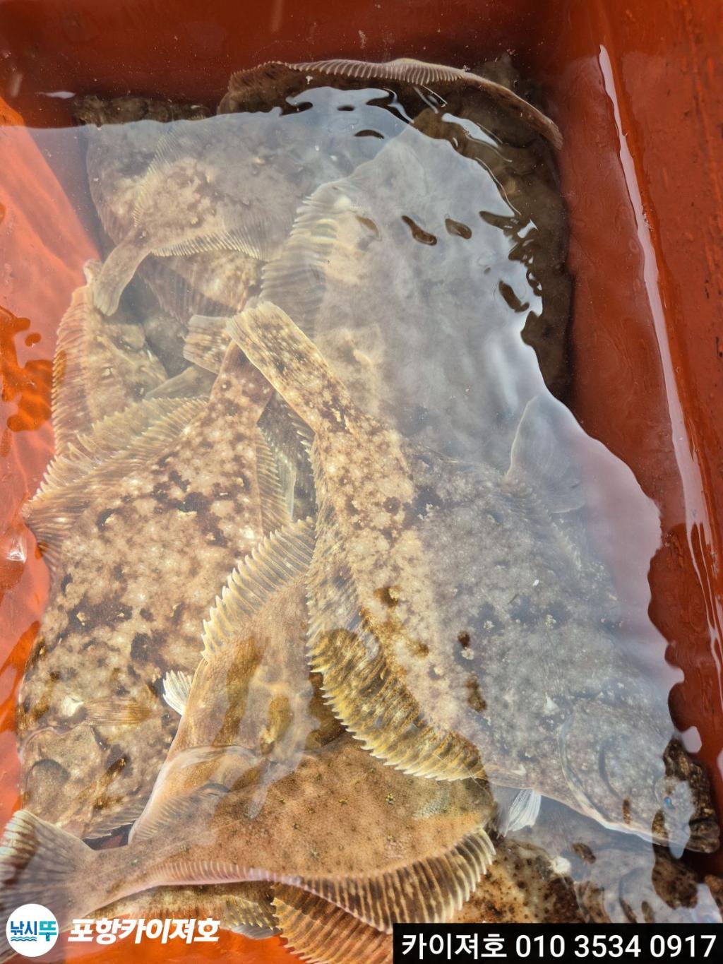 낚시뚜,기타 (직접입력),영일만항,포항카이져호,낚시뚜23