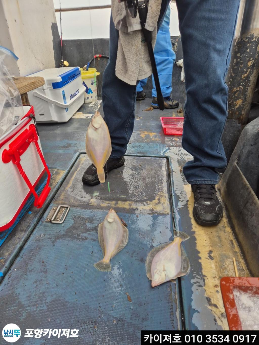 낚시뚜,기타 (직접입력),영일만항,포항카이져호,낚시뚜18