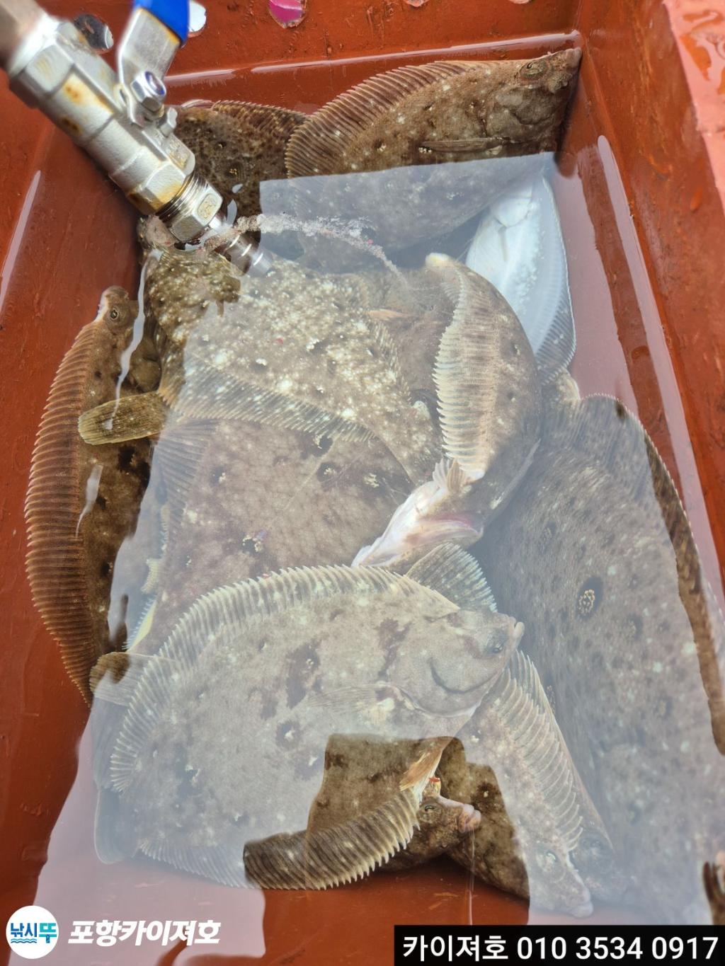 낚시뚜,기타 (직접입력),영일만항,포항카이져호,낚시뚜15