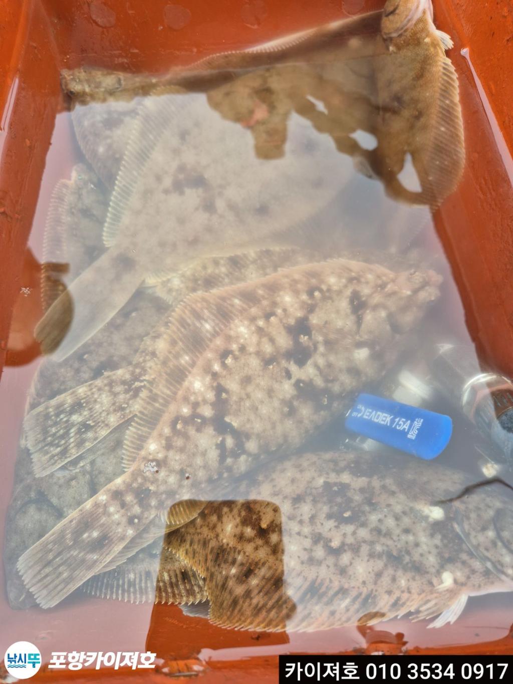 낚시뚜,기타 (직접입력),영일만항,포항카이져호,낚시뚜14