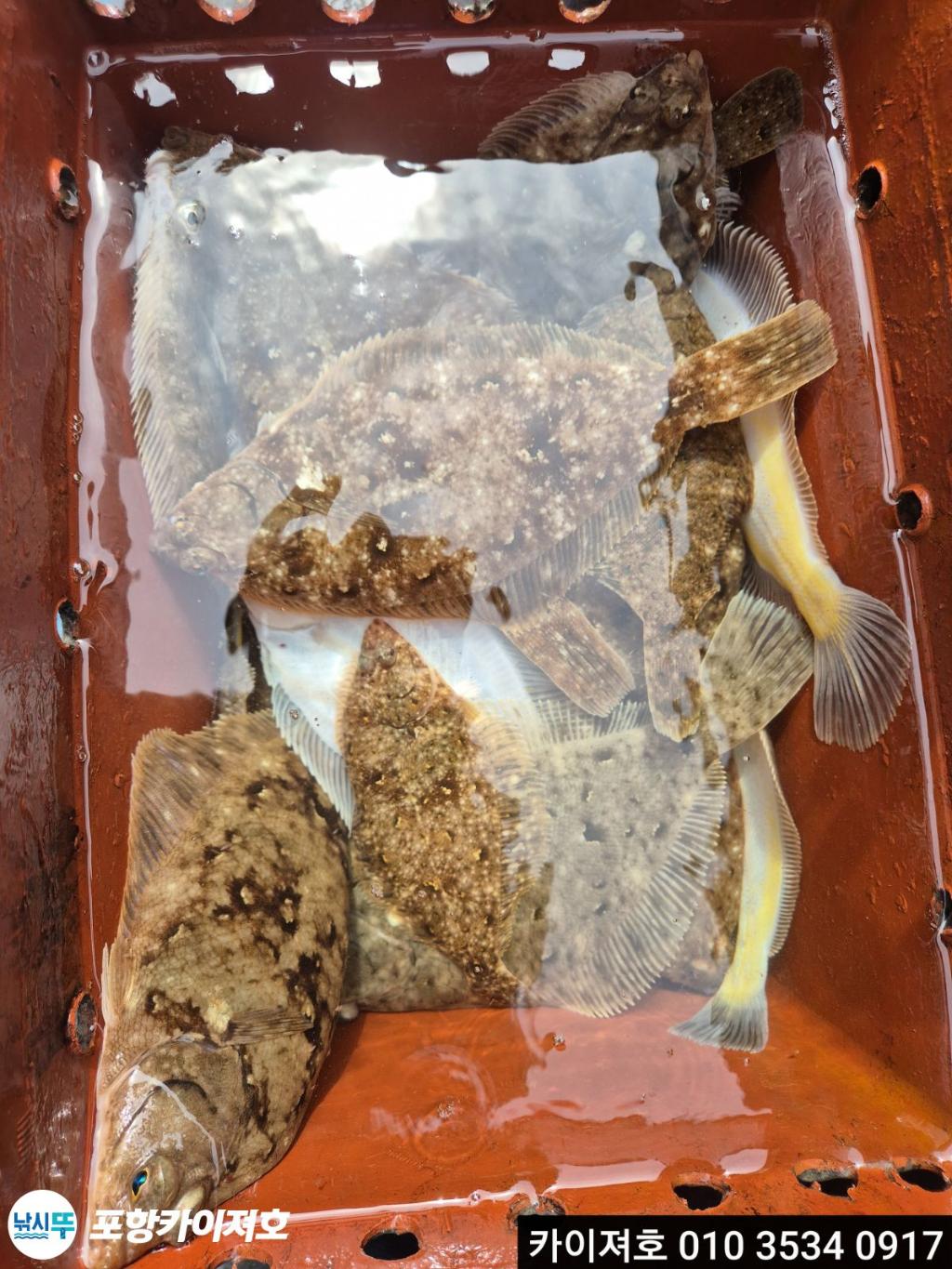 낚시뚜,기타 (직접입력),영일만항,포항카이져호,낚시뚜13