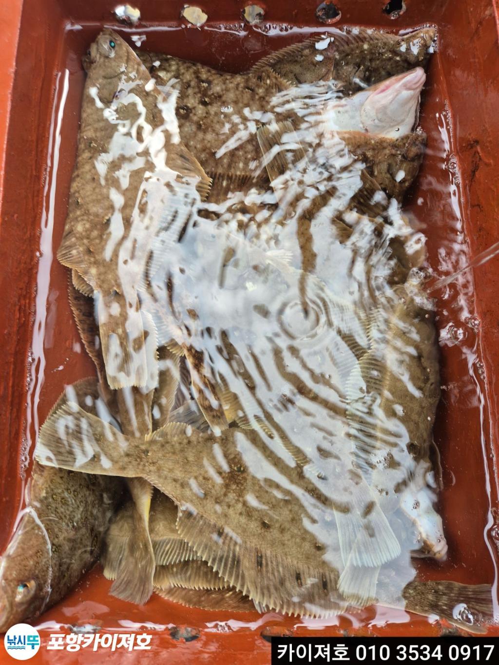 낚시뚜,기타 (직접입력),영일만항,포항카이져호,낚시뚜11