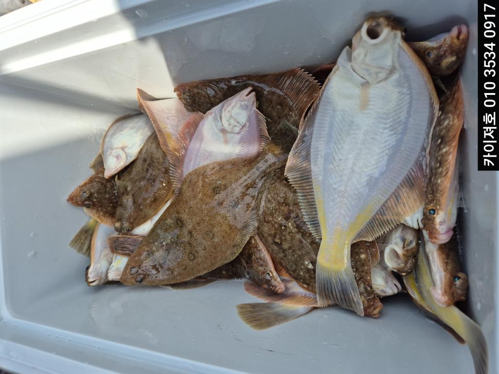 낚시뚜,기타 (직접입력),영일만항,포항카이져호,낚시뚜0